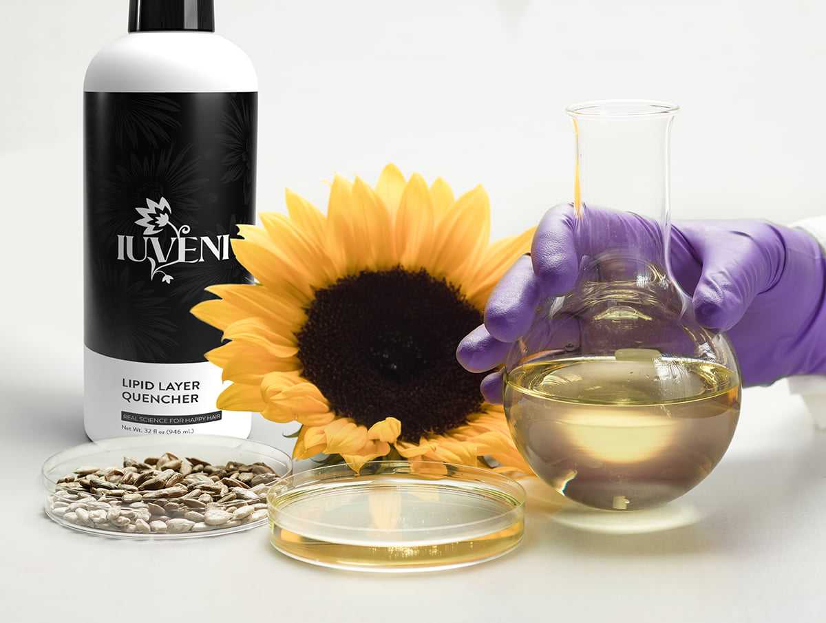 Sunflower oil in lab with skincare bottle and sunflower seeds.